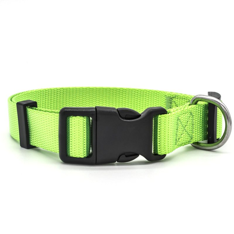 GOCOLLAR - The Perfect Collar For Every Pet