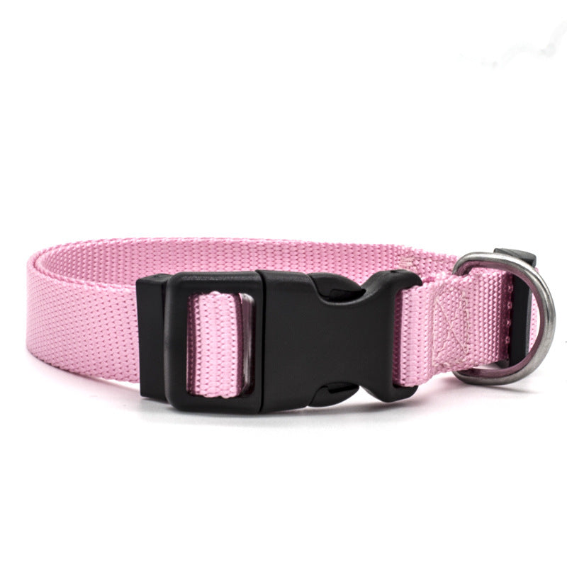 GOCOLLAR - The Perfect Collar For Every Pet