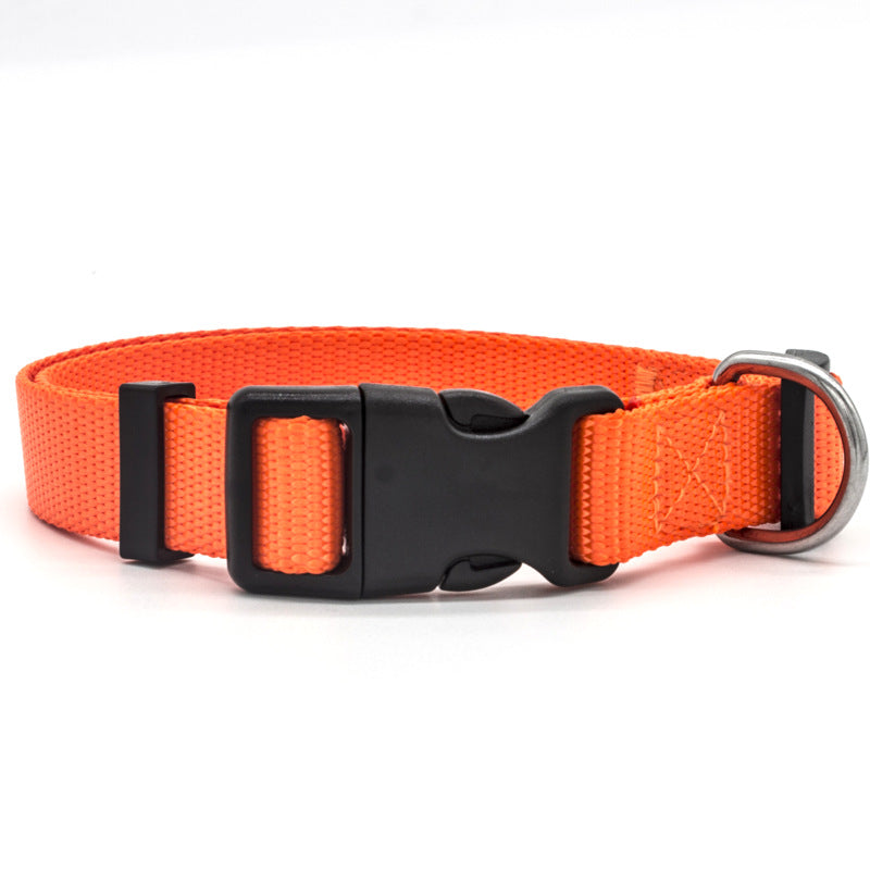 GOCOLLAR - The Perfect Collar For Every Pet