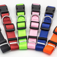 GOCOLLAR - The Perfect Collar For Every Pet