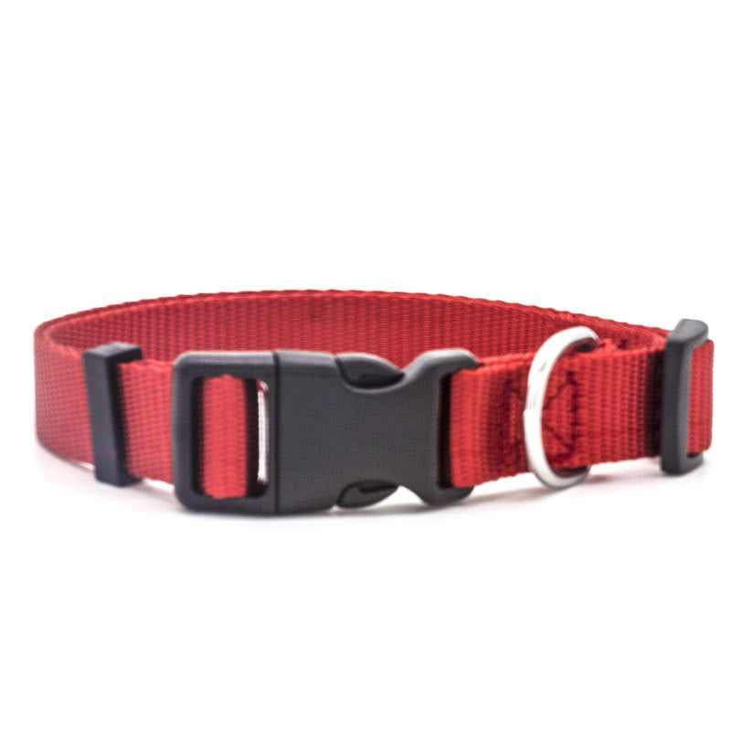 GOCOLLAR - The Perfect Collar For Every Pet