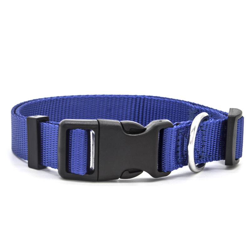 GOCOLLAR - The Perfect Collar For Every Pet